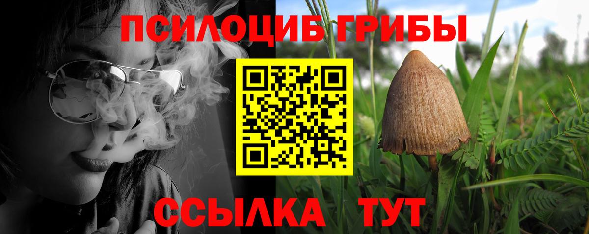 Нальчик  Галлюциногенные грибы GOLDEN TEACHER  магазин продажи   Галлюциногенные грибы Psilocybe  Вход с VPN 